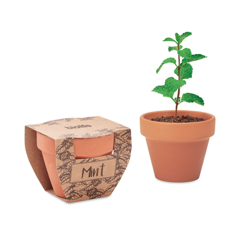 Terracotta pot Mint | Eco gift